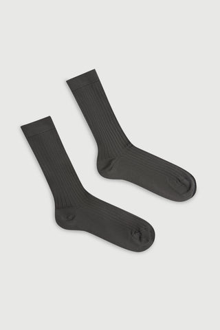 The Socks Gray